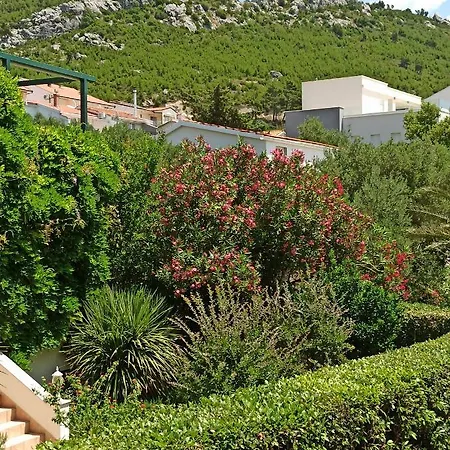 Apartman Olivera *