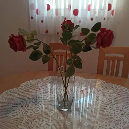 Apartman Olivera *